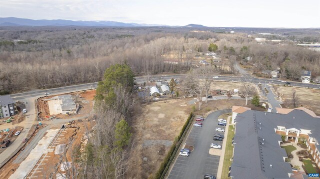 0 Eckerson Ct, Charlottesville, VA 22901