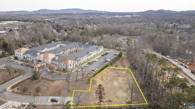 0 Eckerson Ct, Charlottesville, VA 22901