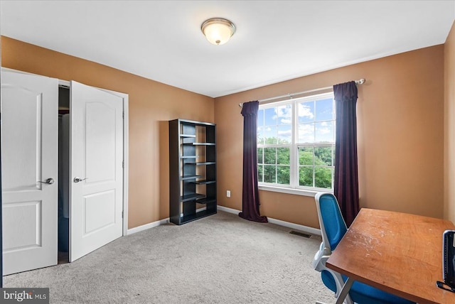 1461 Chesterfield Rd, Locust Grove, VA 22508 - photo 29
