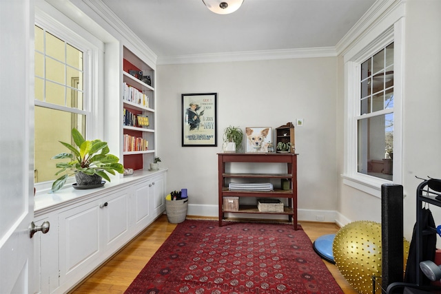 1311 N Augusta St Unit 6, Staunton, VA 24401 - sitting room with light wood-style floors, crown molding, and baseboards