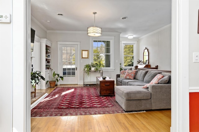 1311 N Augusta St Unit 6, Staunton, VA 24401 - living room with hardwood / wood-style flooring and crown molding