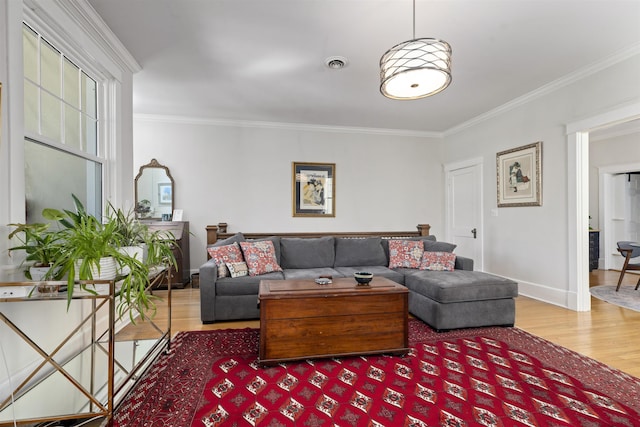 1311 N Augusta St Unit 6, Staunton, VA 24401 - living room featuring wood finished floors, ornamental molding, and baseboards
