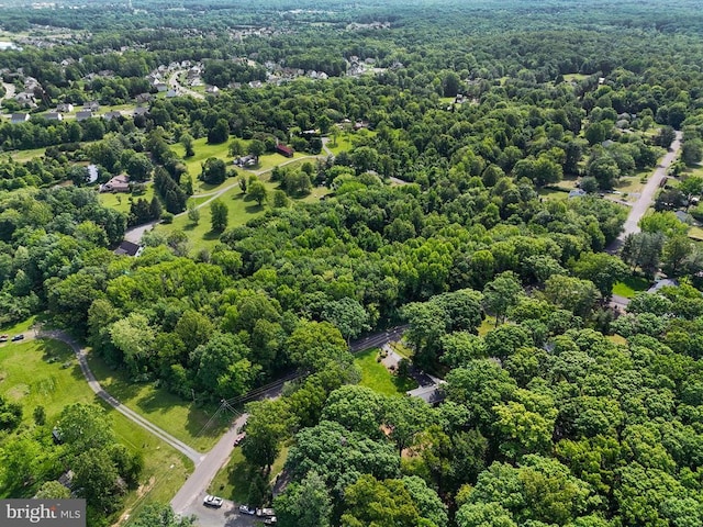  - bird's eye view of a forest