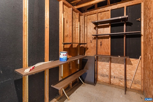 941 Warwick Ct, Charlottesville, VA 22901 - view of storage room
