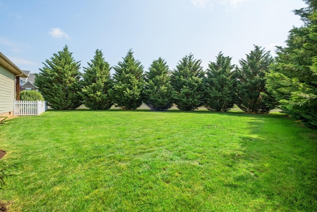 4470 Ridgecrest Ct, Rockingham, VA 22901 - photo 41