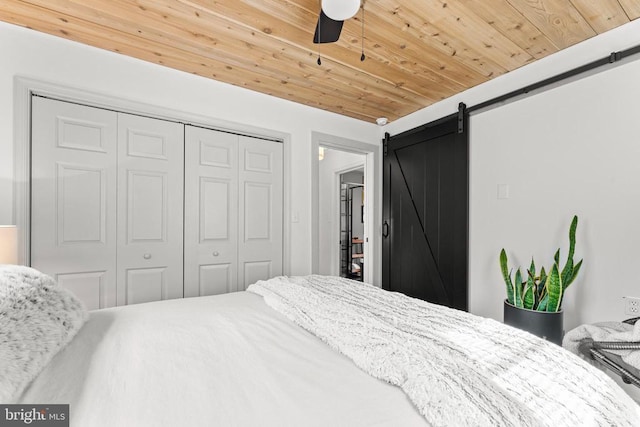 1195 Quaker Run Rd, Madison, VA 22727 - bedroom with a closet, a barn door, and wood ceiling