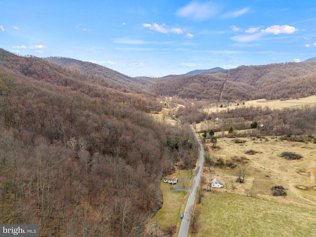 1195 Quaker Run Rd, Madison, VA 22727 - view of mountain background