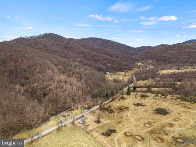 1195 Quaker Run Rd, Madison, VA 22727 - view of mountain background with a heavily wooded area