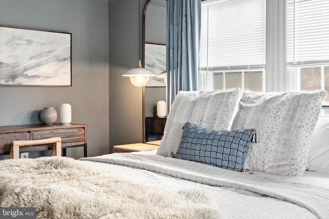 1195 Quaker Run Rd, Madison, VA 22727 - view of bedroom