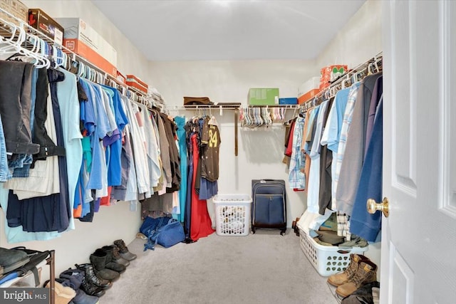spacious closet featuring carpet floors