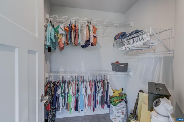 5937 Mccomb St, Crozet, VA 22932 - photo 39