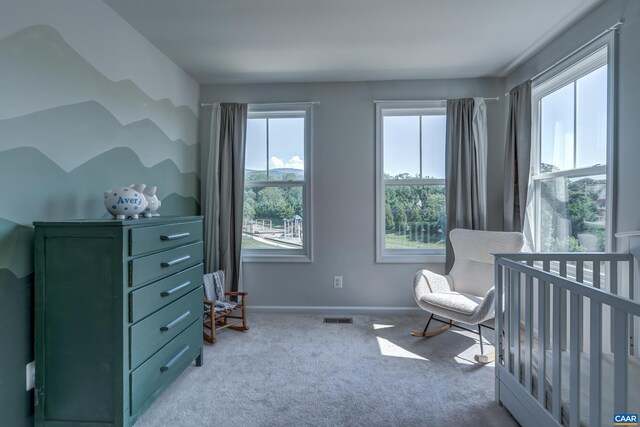 5937 Mccomb St, Crozet, VA 22932 - photo 38