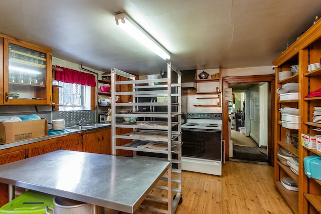 222 Main St, Dayton, VA 22821 - kitchen with stainless steel countertops, electric stove, open shelves, light wood finished floors, and glass insert cabinets