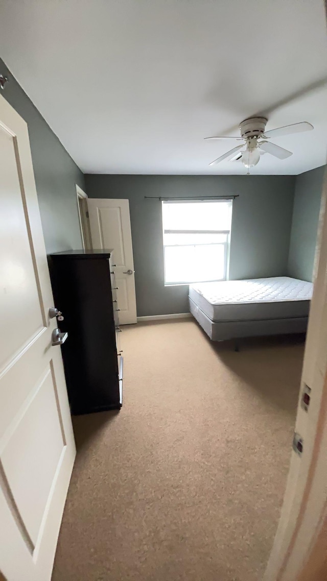 510 Davis Mill Dr Unit 303, Harrisonburg, VA 22801 - photo 19