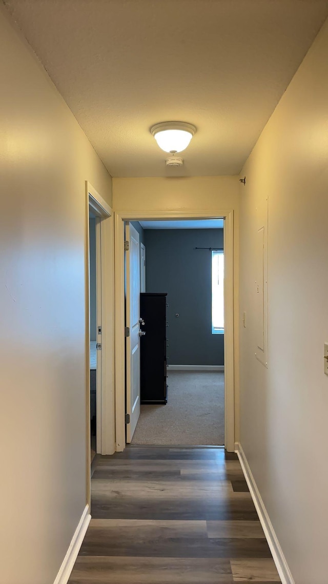 510 Davis Mill Dr Unit 303, Harrisonburg, VA 22801 - photo 16