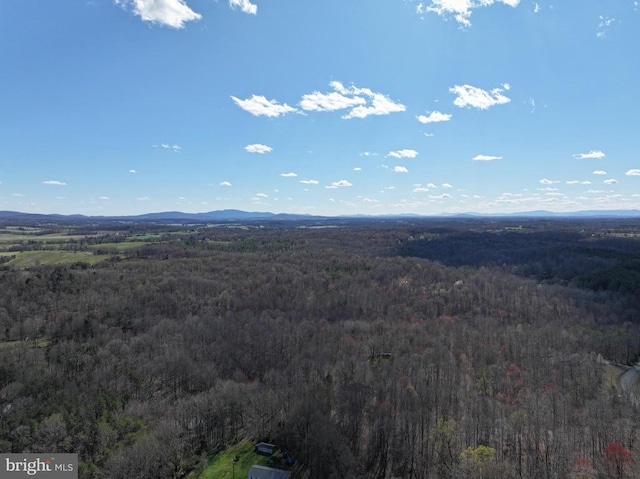 Tanners, Orange, VA 22960 - photo 26