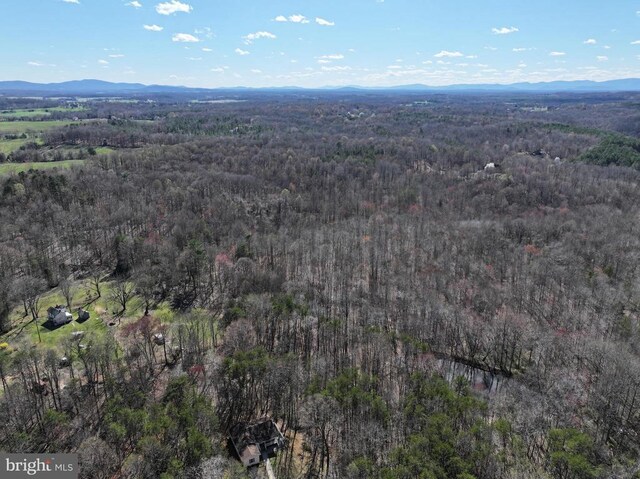 Tanners, Orange, VA 22960 - photo 19