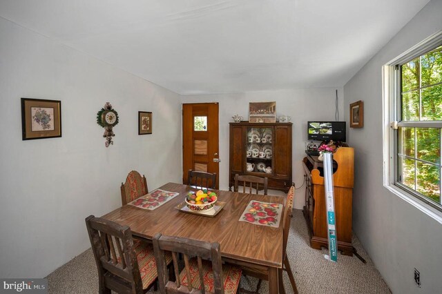 33080 Jackson Loop, Locust Grove, VA 22508 - photo 9