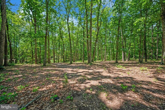 33080 Jackson Loop, Locust Grove, VA 22508 - photo 41