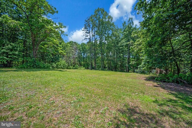 33080 Jackson Loop, Locust Grove, VA 22508 - photo 40