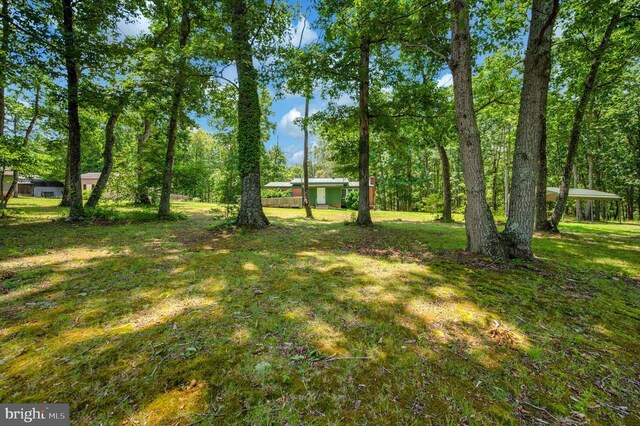 33080 Jackson Loop, Locust Grove, VA 22508 - photo 44