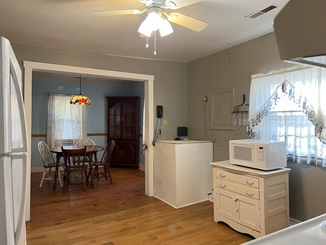 interior space with a ceiling fan, electric panel, visible vents, and light wood-style floors