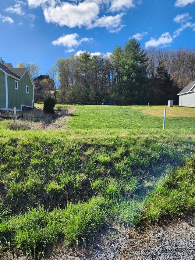 104 Carrsbrook Dr, Staunton, VA 24401 - photo 7