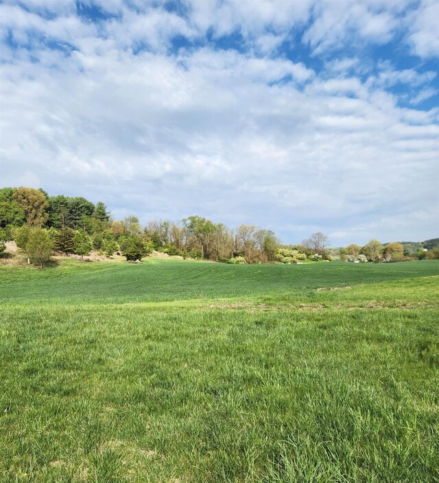 104 Carrsbrook Dr, Staunton, VA 24401 - photo 4