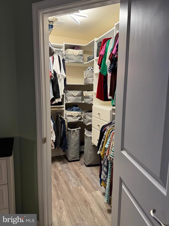  - walk in closet featuring light wood-style floors