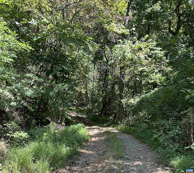 6 Old Mountain Rd, Stanardsville, VA 22973