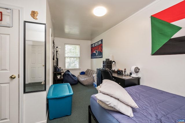 1124 Preston Ave, Charlottesville, VA 22903 - bedroom with carpet flooring