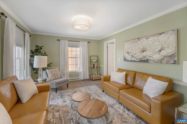 330 Carrsbrook Dr, Charlottesville, VA 22901 - carpeted living area featuring ornamental molding