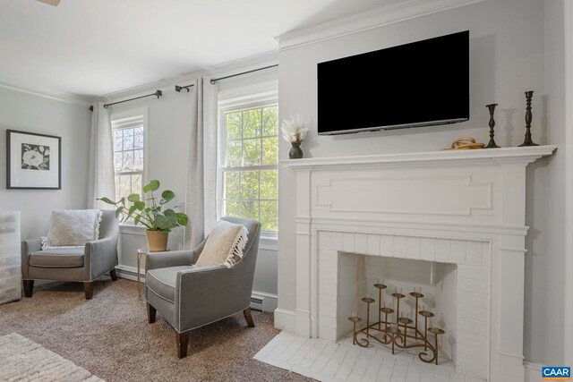 330 Carrsbrook Dr, Charlottesville, VA 22901 - living area with carpet flooring, ornamental molding, and a fireplace