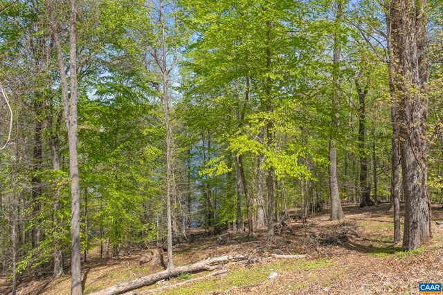 330 Carrsbrook Dr, Charlottesville, VA 22901 - view of tree filled area
