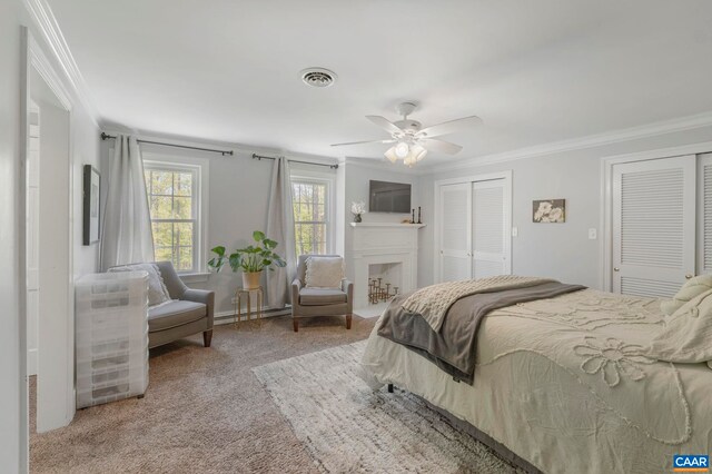 330 Carrsbrook Dr, Charlottesville, VA 22901 - bedroom with two closets, ornamental molding, a baseboard radiator, carpet flooring, and a fireplace