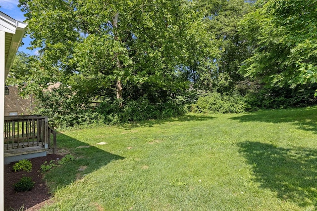 111 Church St, Broadway, VA 22815 - photo 22