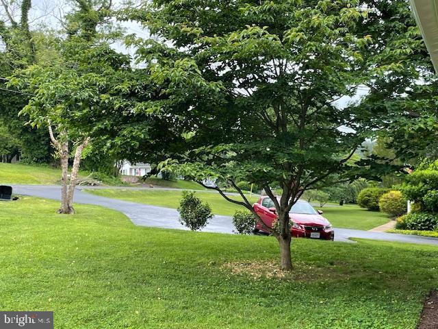 112 Blue Ridge St, Warrenton, VA 20186 - view of home's community featuring a yard