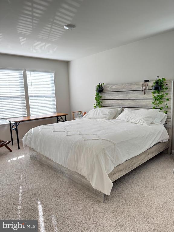 182 Allison Dr, Luray, VA 22835 - view of carpeted bedroom