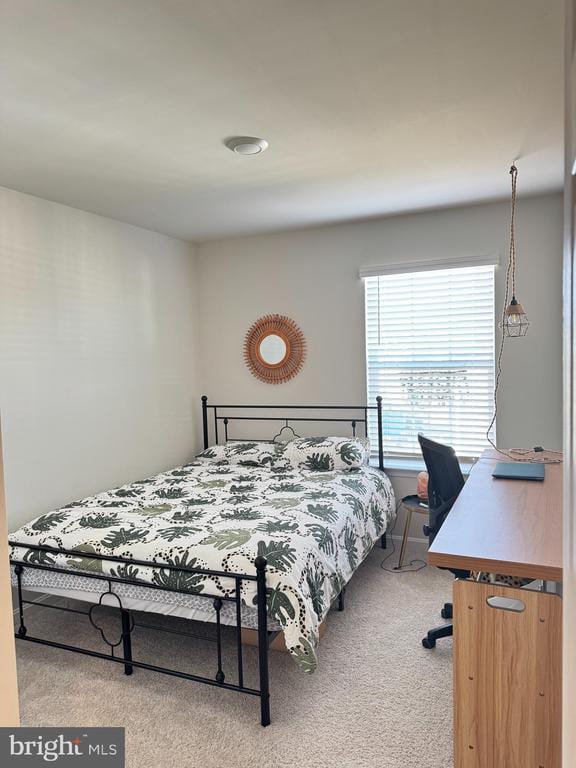182 Allison Dr, Luray, VA 22835 - bedroom featuring carpet flooring
