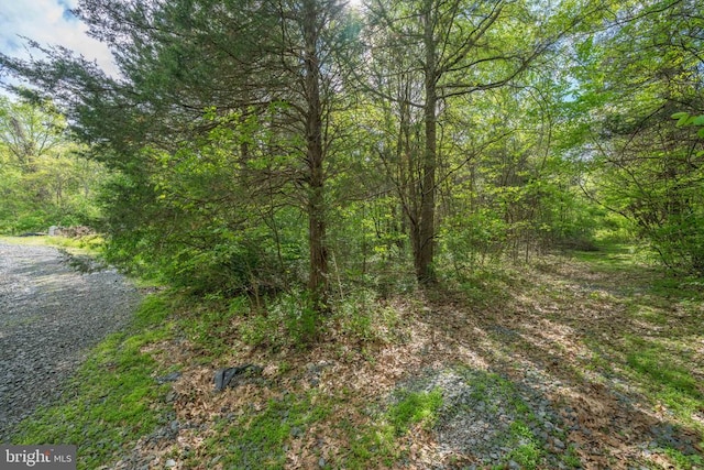 Piney Ridge Rd, Remington, VA 22734 - photo 5