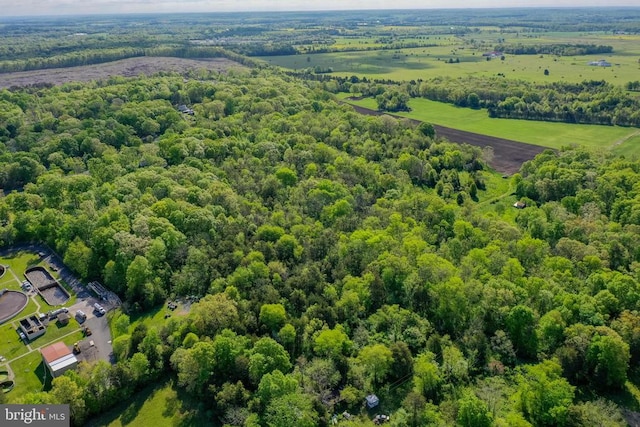 Piney Ridge Rd, Remington, VA 22734 - photo 9