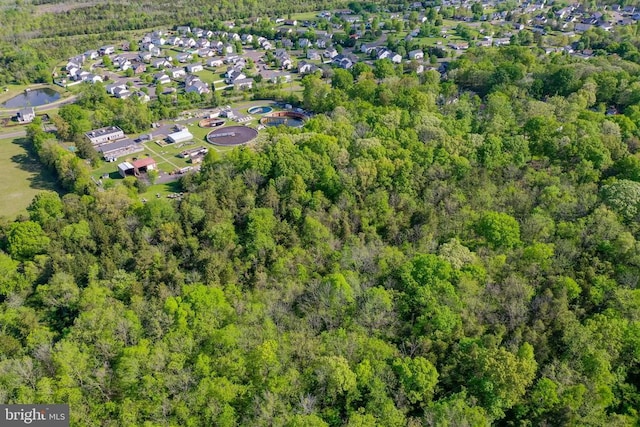 Piney Ridge Rd, Remington, VA 22734 - photo 6
