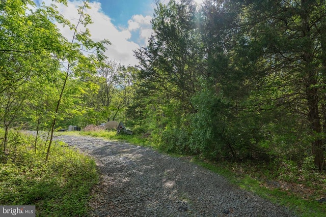 Piney Ridge Rd, Remington, VA 22734 - photo 2