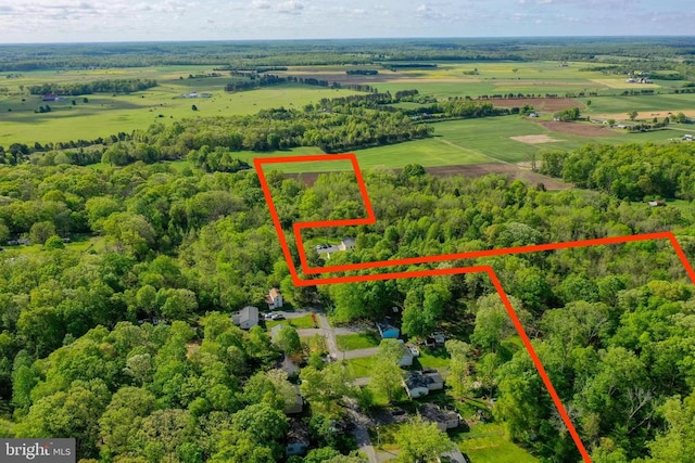 Piney Ridge Rd, Remington, VA 22734 - photo 13