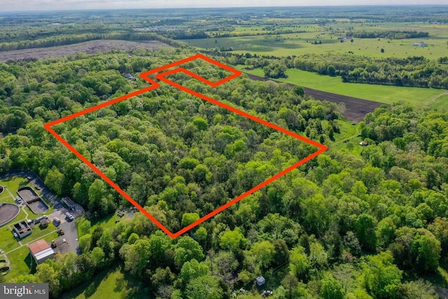 Piney Ridge Rd, Remington, VA 22734 - photo 8