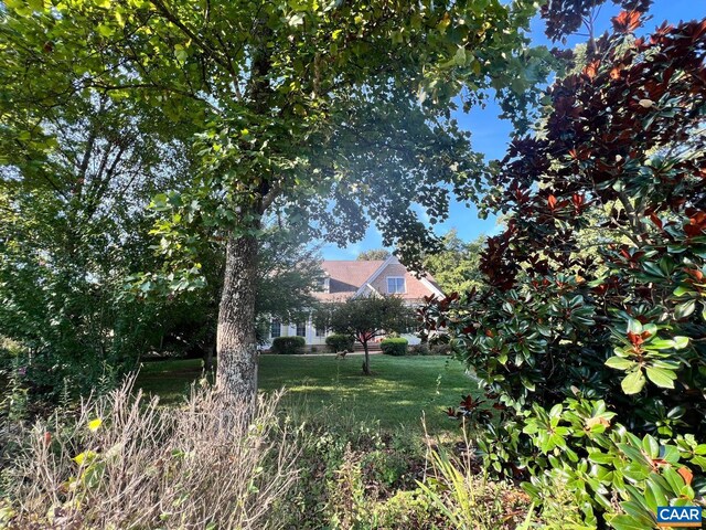 1330 Elderberry Pl, Earlysville, VA 22936 - view of green lawn