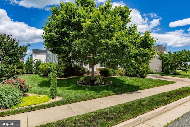 9016 Laurel Oak Ln, Fredericksburg, VA 22407 - view of property hidden behind natural elements with a front yard