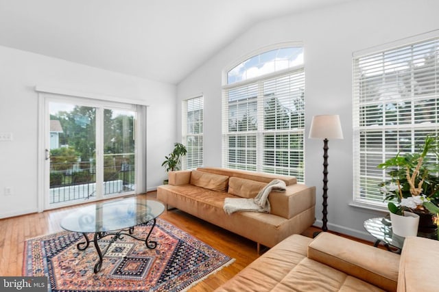 9016 Laurel Oak Ln, Fredericksburg, VA 22407 - living room featuring wood finished floors and lofted ceiling