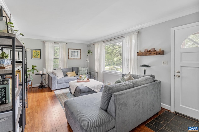 1605 Oakleaf Ln, Charlottesville, VA 22903 - living room with crown molding and hardwood / wood-style floors