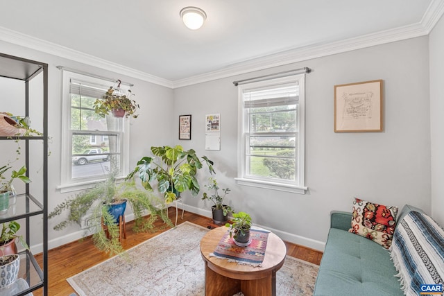 1605 Oakleaf Ln, Charlottesville, VA 22903 - living area featuring crown molding and wood finished floors